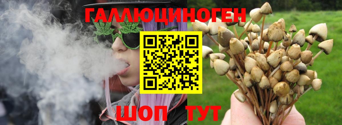Анапа  Псилоцибиновые грибы Psilocybe  Псилоцибиновые грибы ЛСД  Вход с VPN 